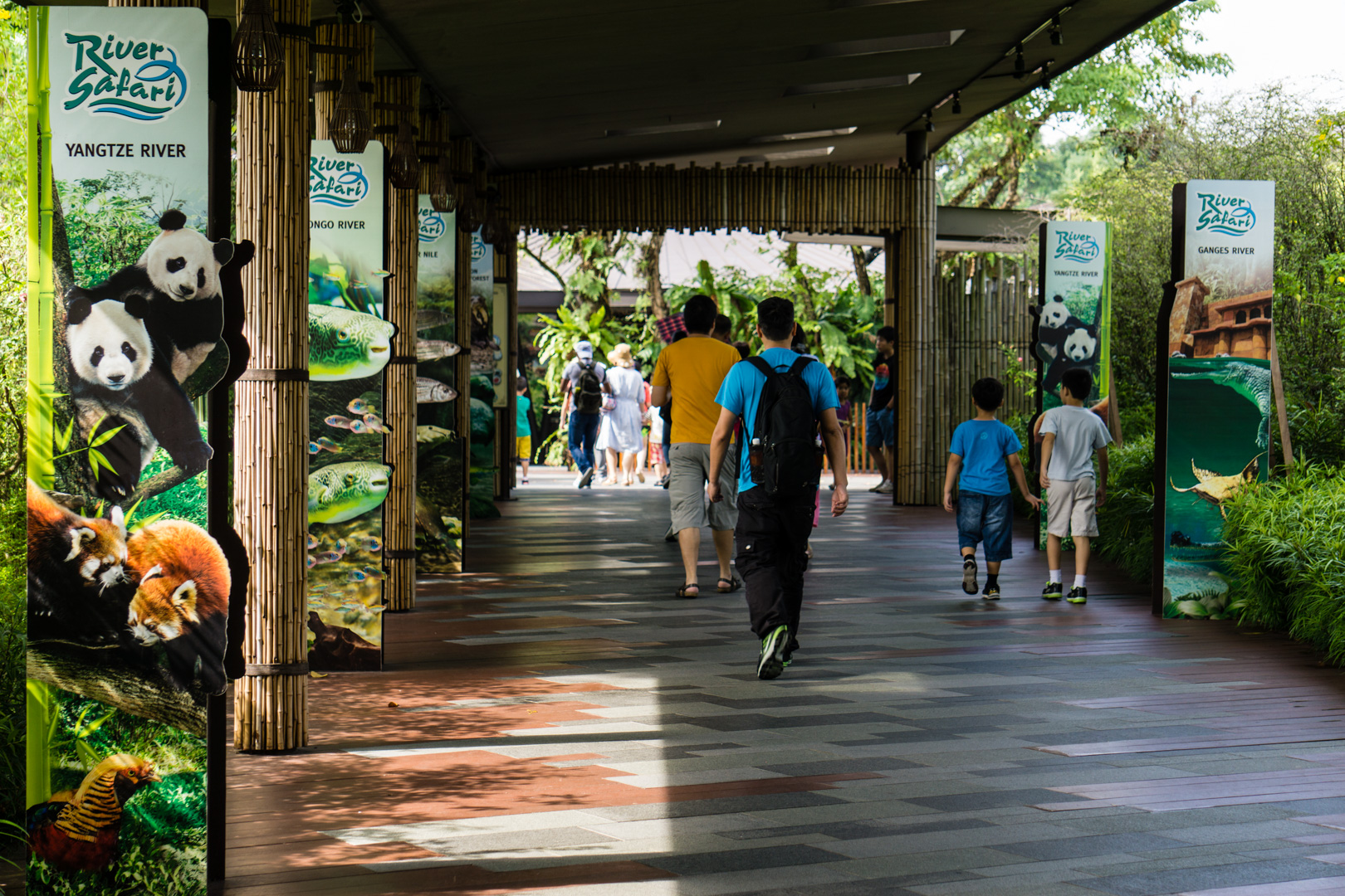 Bird Paradise / Zoo / River Wonders (Afternoon)
