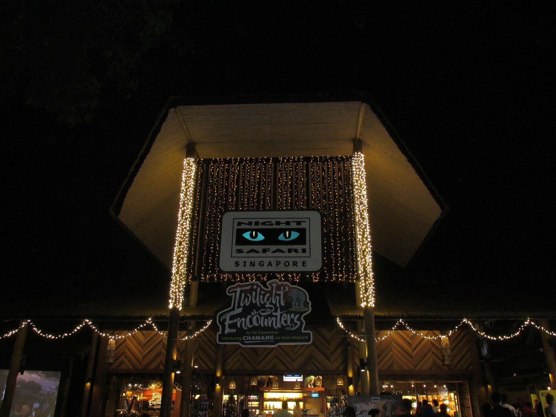 Night Safari Transfer Only