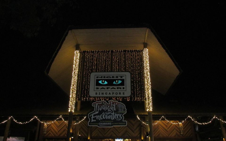 Night Safari Evening