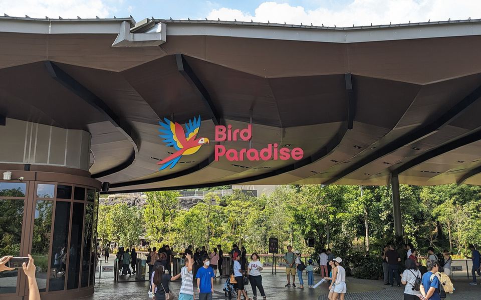 Bird Paradise Discovery