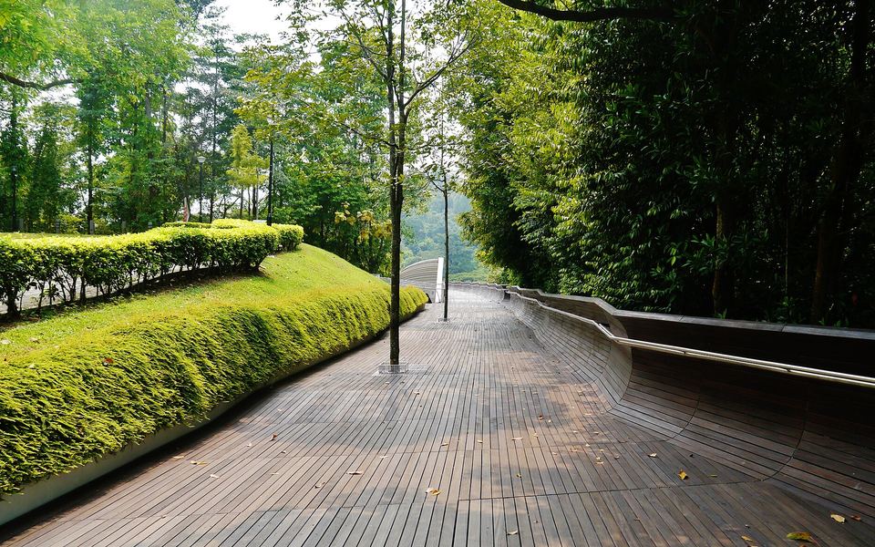 Southern Ridges & Mount Faber