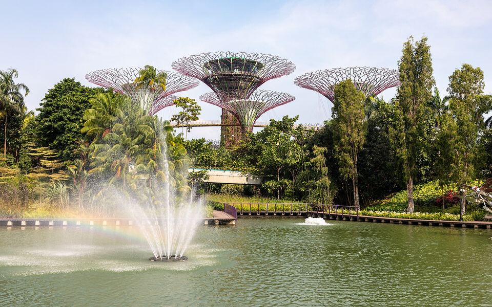 Gardens by the Bay Experience