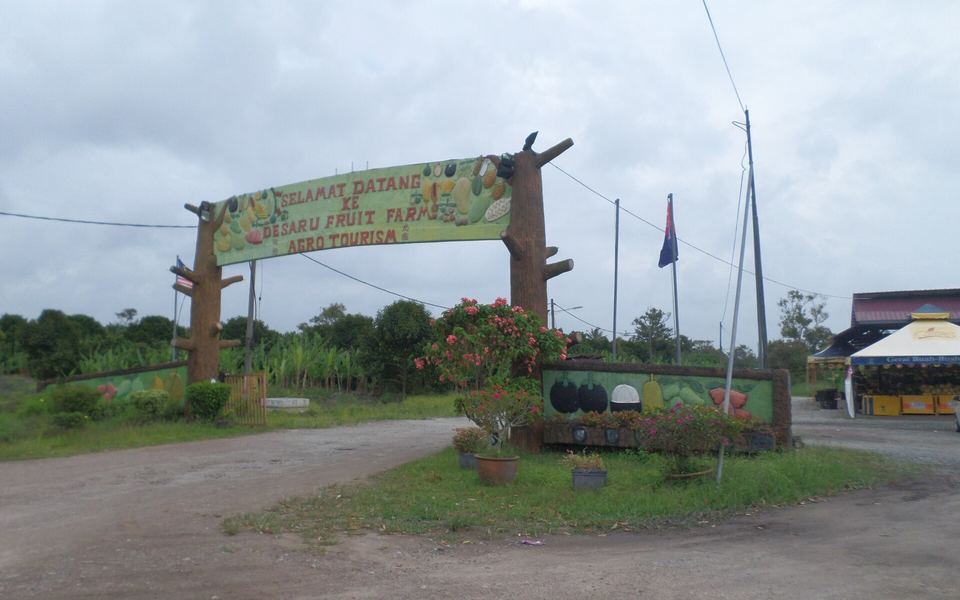 Desaru Fruit Farm & Tanjung Balau