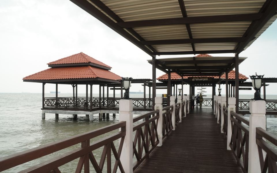 Tanjung Piai & Kukup Nature Tour