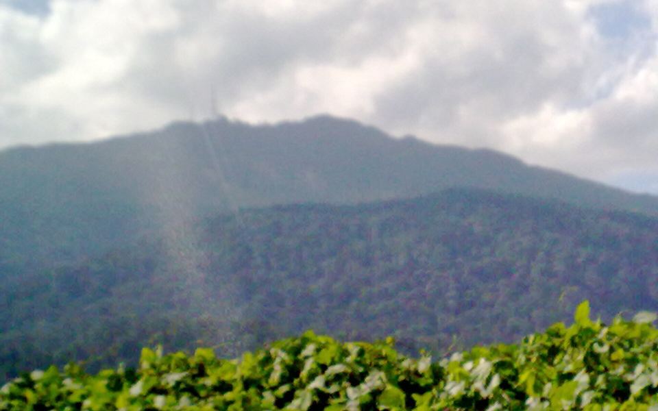 Gunung Ledang & Tangkak Nature
